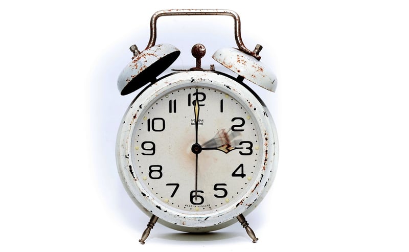 Surviving Time Paradoxes